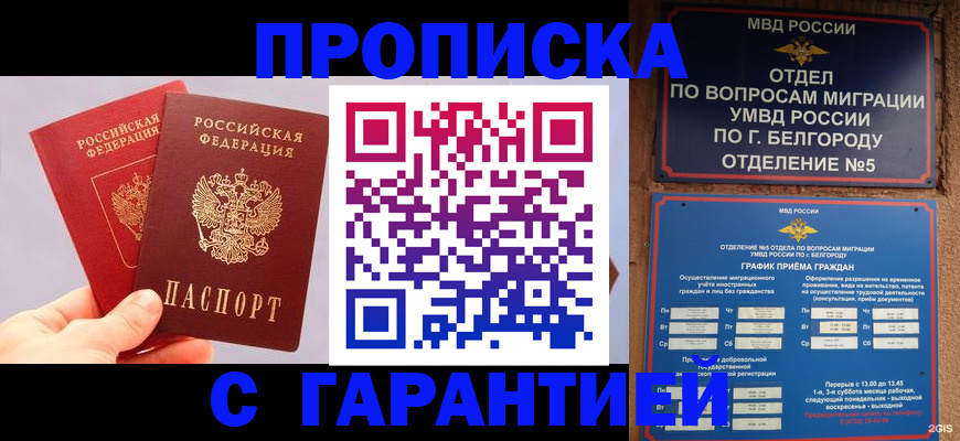 прописка 2025 в Березниках